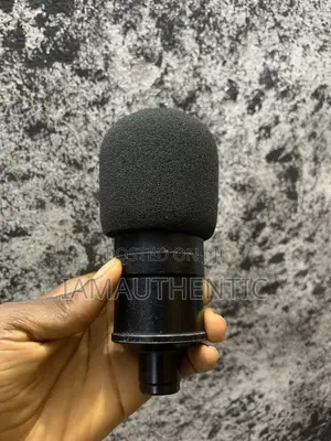 Studio Condenser Mic