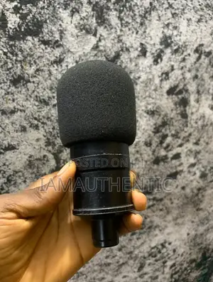 Studio Condenser Mic
