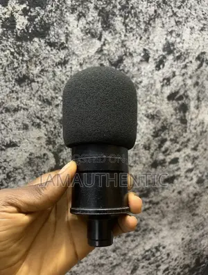 Studio Condenser Mic