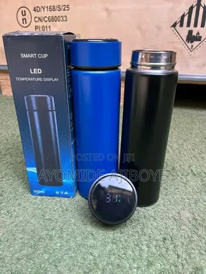 Temperature Bottle