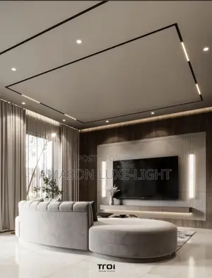 Magnetic Light, the Modern Type of Light in the World