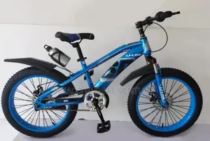 Children Bicycle 8 to 15 Years Old Children Size 20 Inches Bicycle