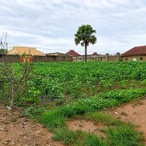 4 Plots of Land 100/100 Each for Sale at Millennium City, Kaduna