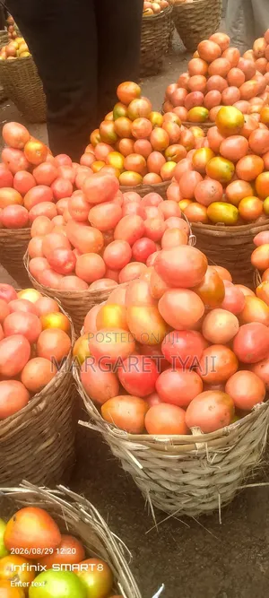 Tomatoes in Baskets