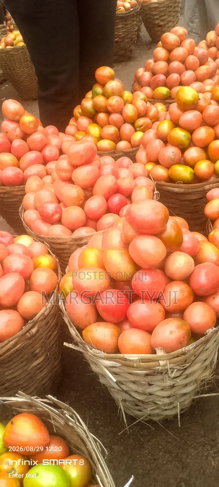 Tomatoes in Baskets