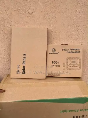 100wt Solar Flood Light