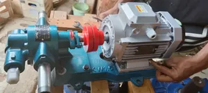 Electric Motor Gearpump