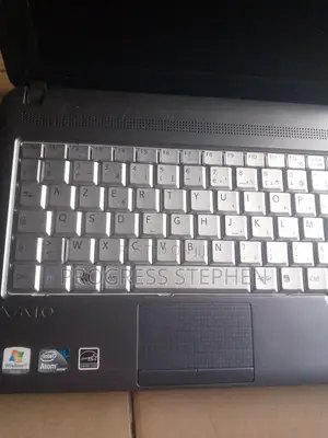 Laptop Sony VAIO VPC-CA1S1E 2GB Intel Atom HDD 256GB