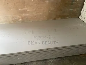 Gypsum Board