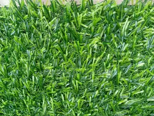 Synthetic Grass Carpet 25mm