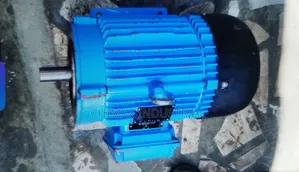 Weg 3phase Induction Motor