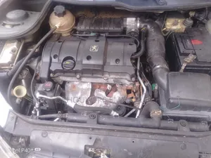 Peugeot 206 2004 Silver