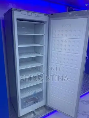 Hair Thermocool 250L Upright Freezer