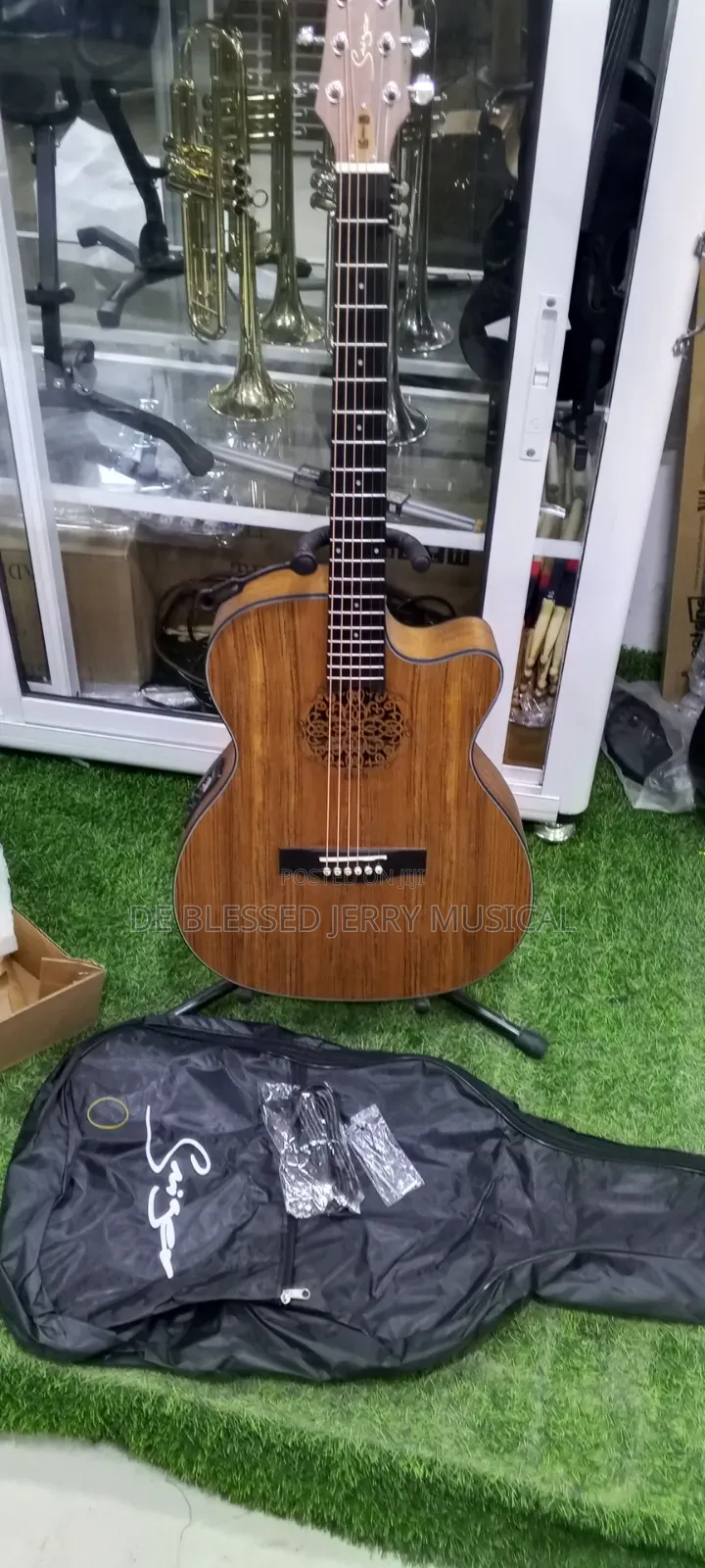 Acoustic Guitar 🎸