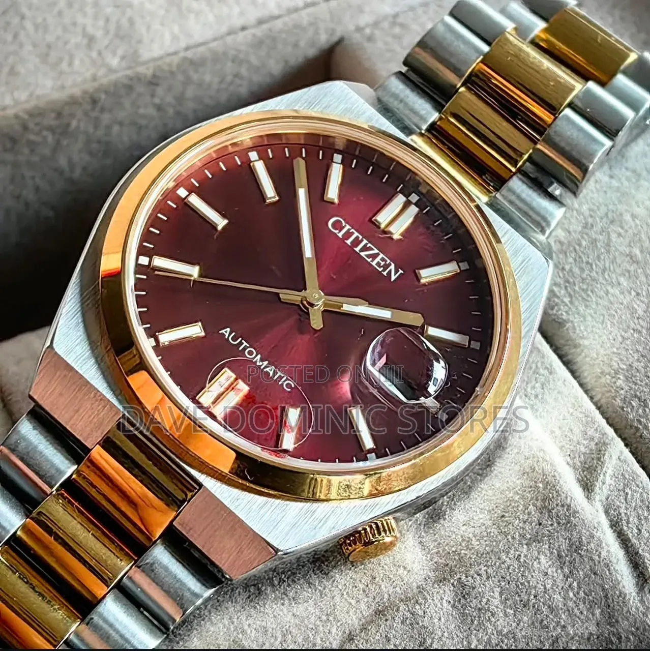 Citizens Chain Watch Automatic.