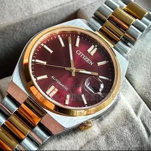 Citizens Chain Watch Automatic.