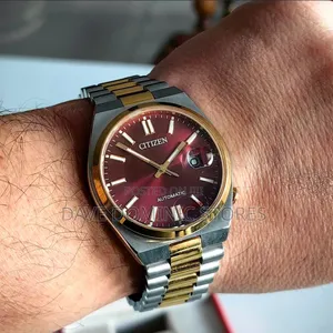 Citizens Chain Watch Automatic.