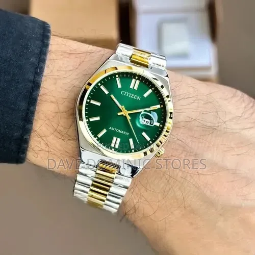 Citizens Chain Watch Automatic.