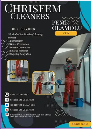 Chrisfemscleaners