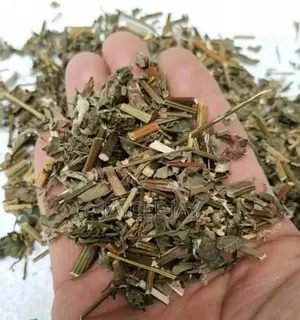 Natural Dried Hyssop Herb