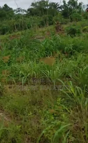 4plot of 100 by 100 Side General Hospital Issele Uku