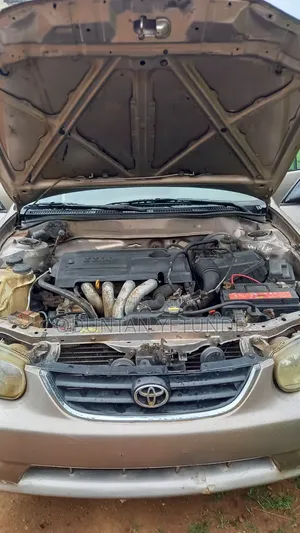 Toyota Corolla 2001 Brown