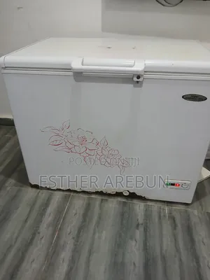 316L Haier Thermocool Deep Freezer