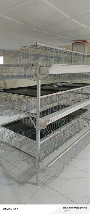 Imported Automatic Battery Cages for Layers