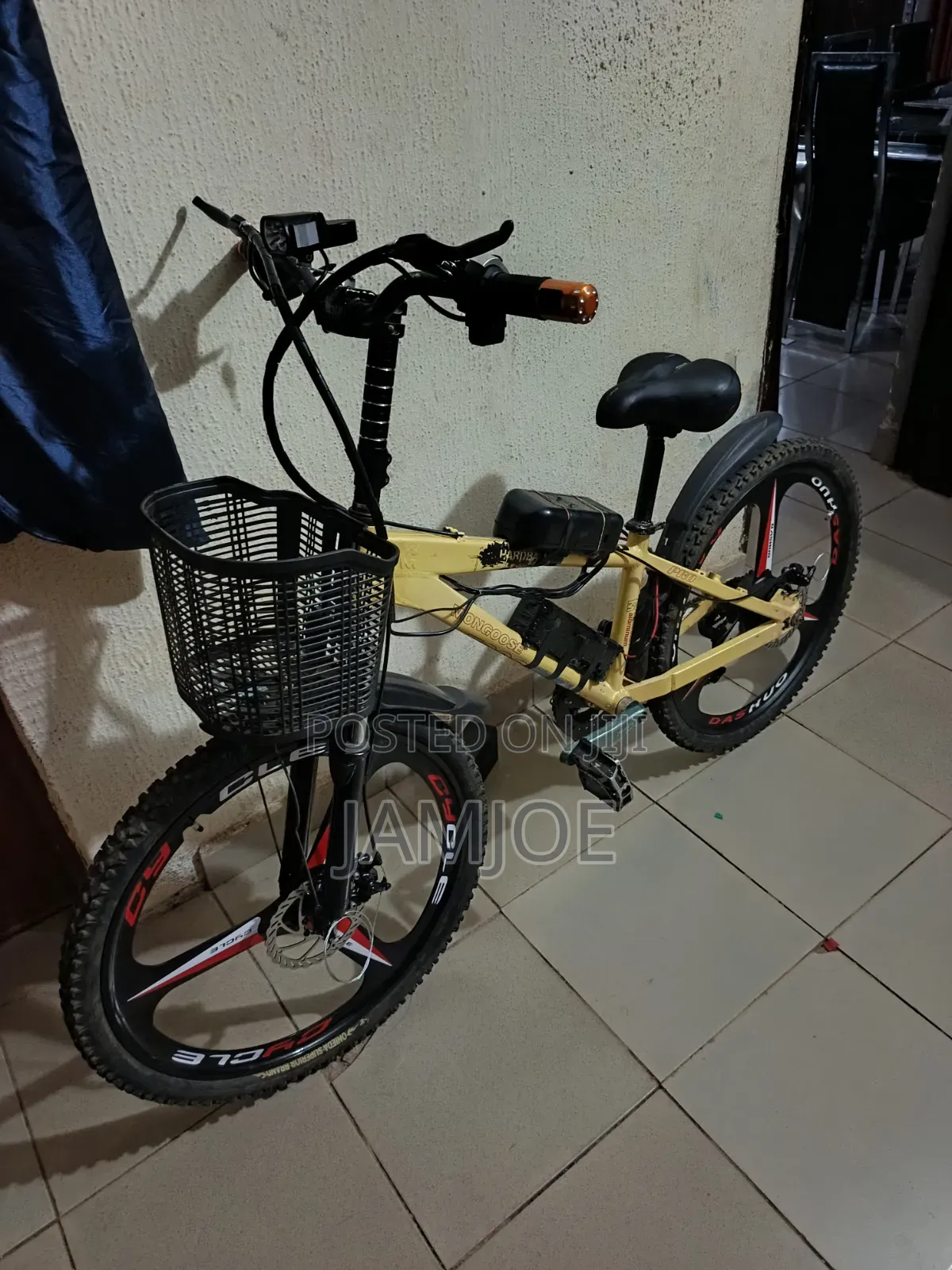 Electric Bicycles