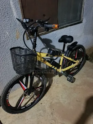 Electric Bicycles