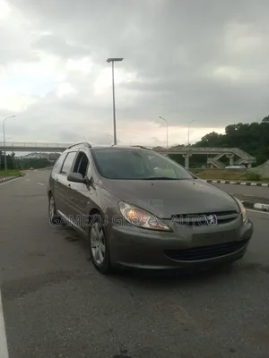 Peugeot 307 2.0 SW 140 Premium 2008 Gray