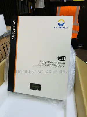 Lvtopsun 25.6v 100ah 2.56kwh