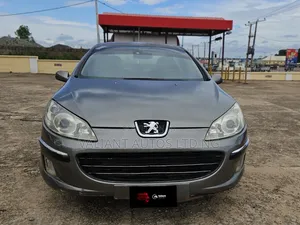 Peugeot 407 2.0 SW 2007 Gray