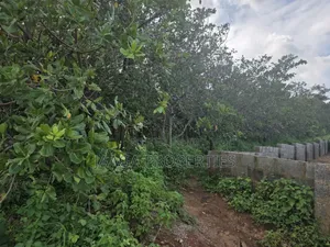 Dape Flat Residential Plot for Urgent Sales