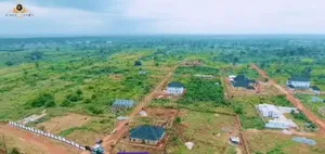 One Plot of Land
