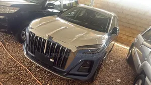 New Hongqi E-HS3 2023 Gray