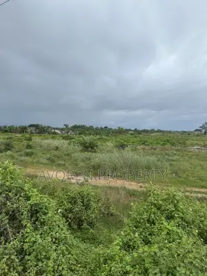 75 Plot of Land for Sale Elerangbe Facing Lekki Epe Express Way