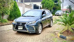 Lexus RX 2013 Gray