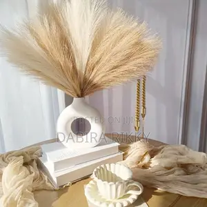 Donut Vase and Pampas