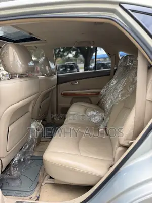 Lexus RX 330 2004 Gray