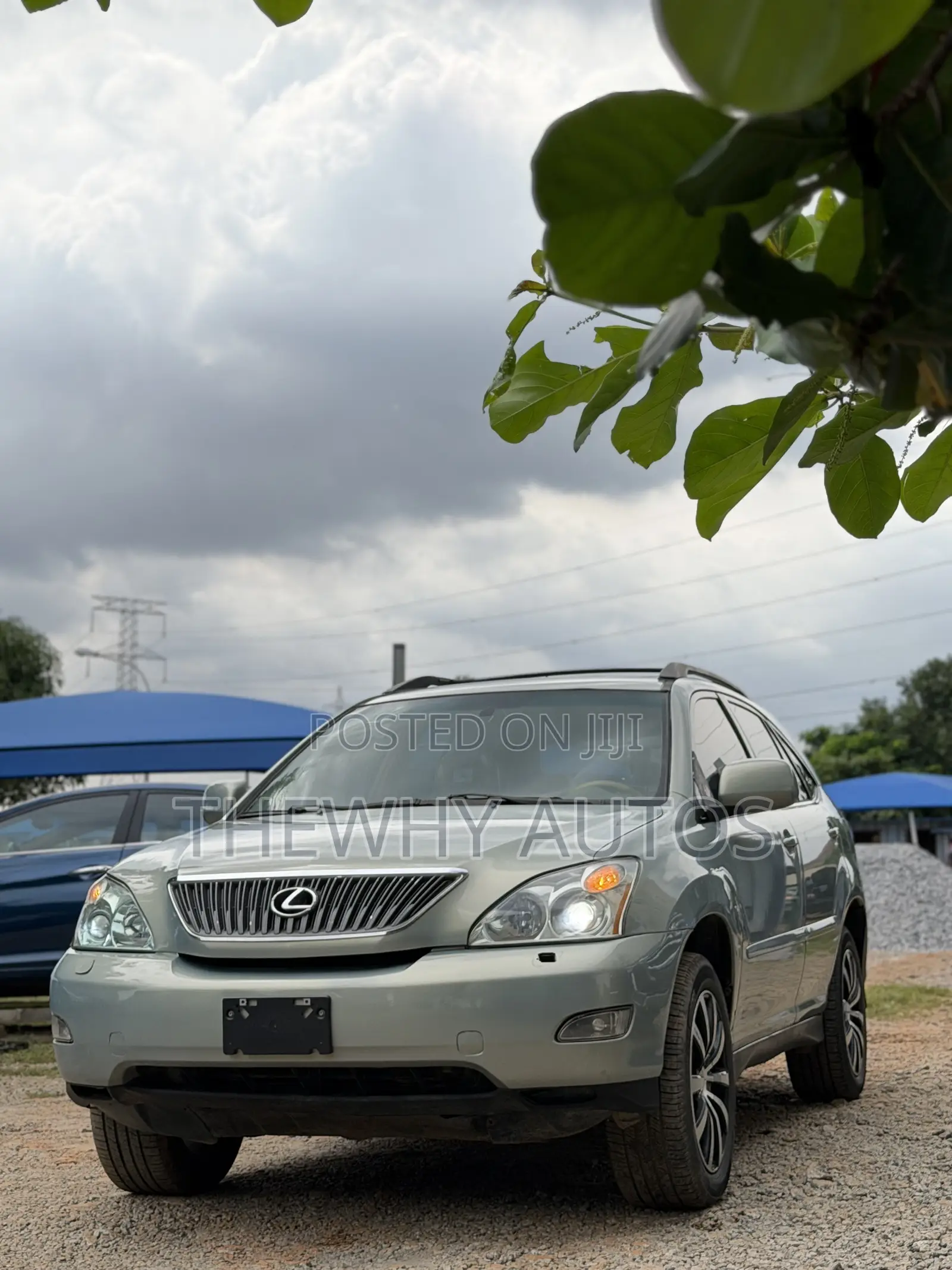 Lexus RX 330 2004 Gray