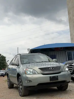 Lexus RX 330 2004 Gray