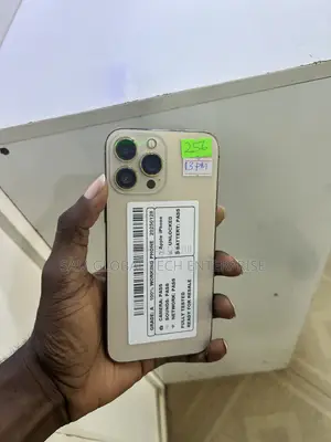 Apple iPhone 13 Pro Max 256 GB Gold