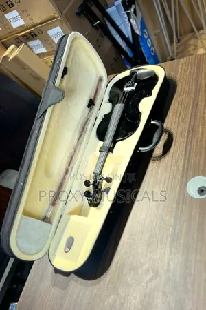 Black Acoustic Violin