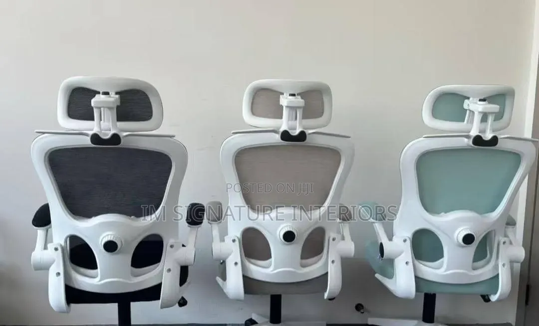 Stylish Ergonomic Office Chair