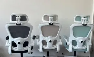 Stylish Ergonomic Office Chair