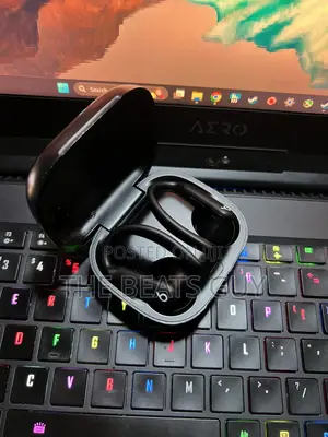 Apple Beats Powerbeats Pro 2