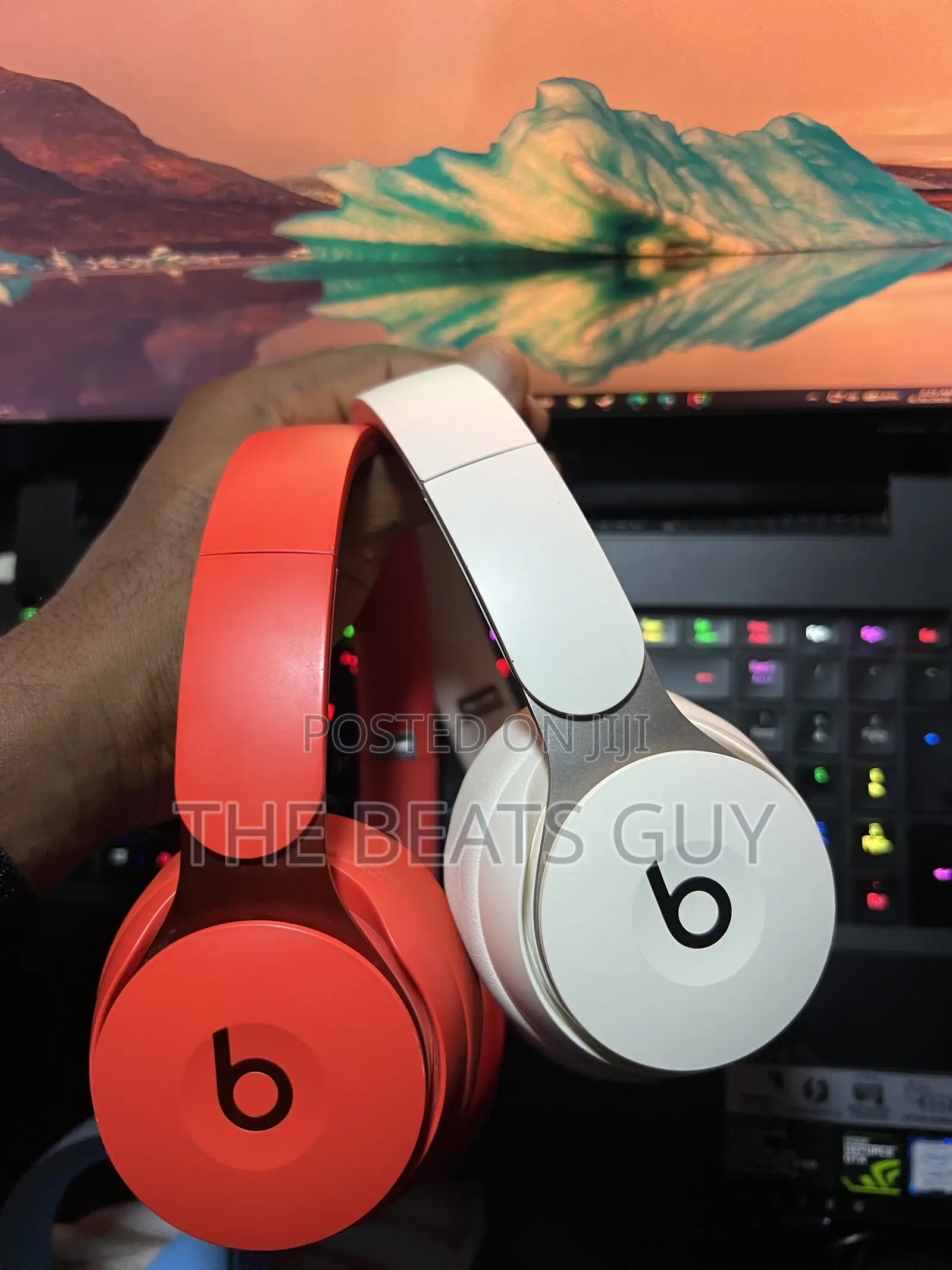 Apple Beats Solo Pro (Lot)