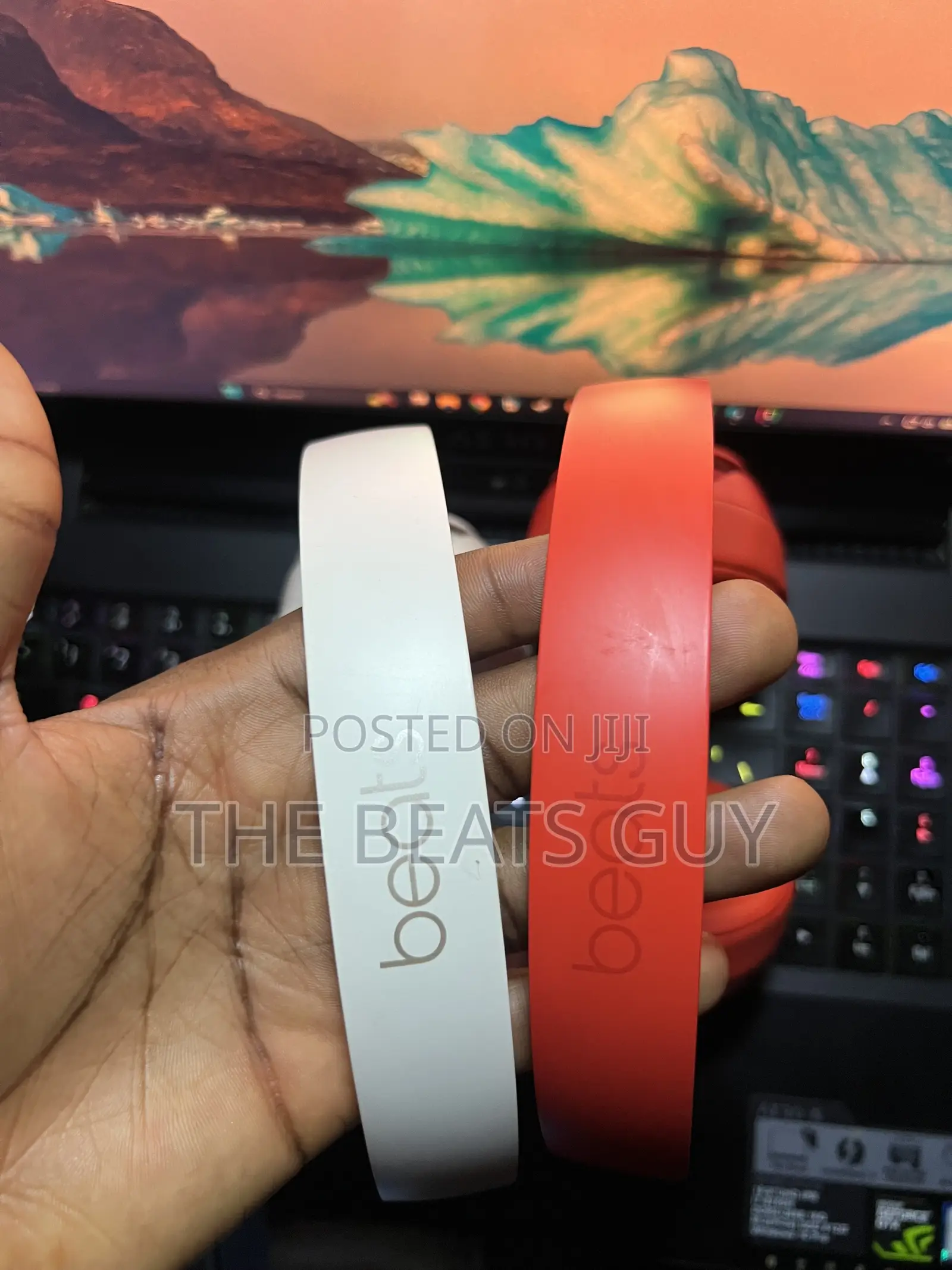 Apple Beats Solo Pro (Lot)