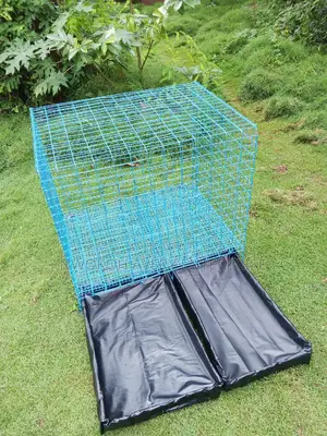 Pet Dog Cage